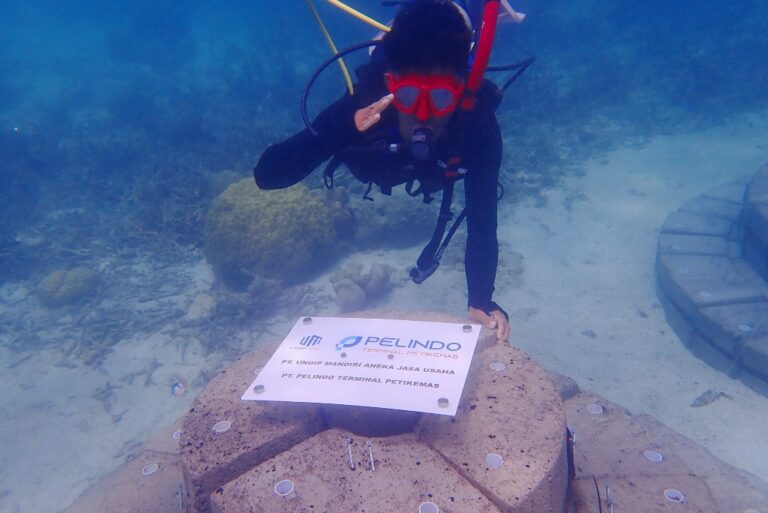 Pemasangan-Terumbu-Buatan-Artificial-Patch-Reef.jpeg