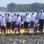 Pelindo-Dukung-Pemulihan-Ekosistem-Mangrove-di-Demak.jpeg