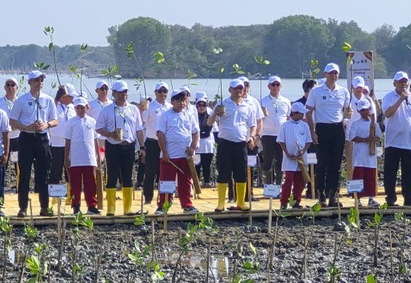 Pelindo-Dukung-Pemulihan-Ekosistem-Mangrove-di-Demak.jpeg