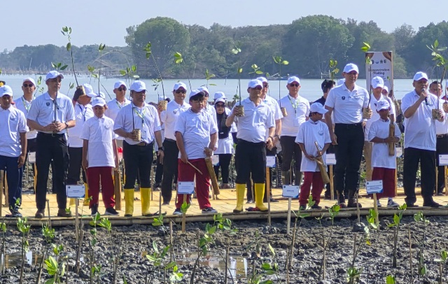 Pelindo-Dukung-Pemulihan-Ekosistem-Mangrove-di-Demak.jpeg